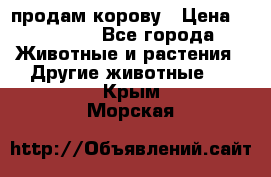 продам корову › Цена ­ 70 000 - Все города Животные и растения » Другие животные   . Крым,Морская